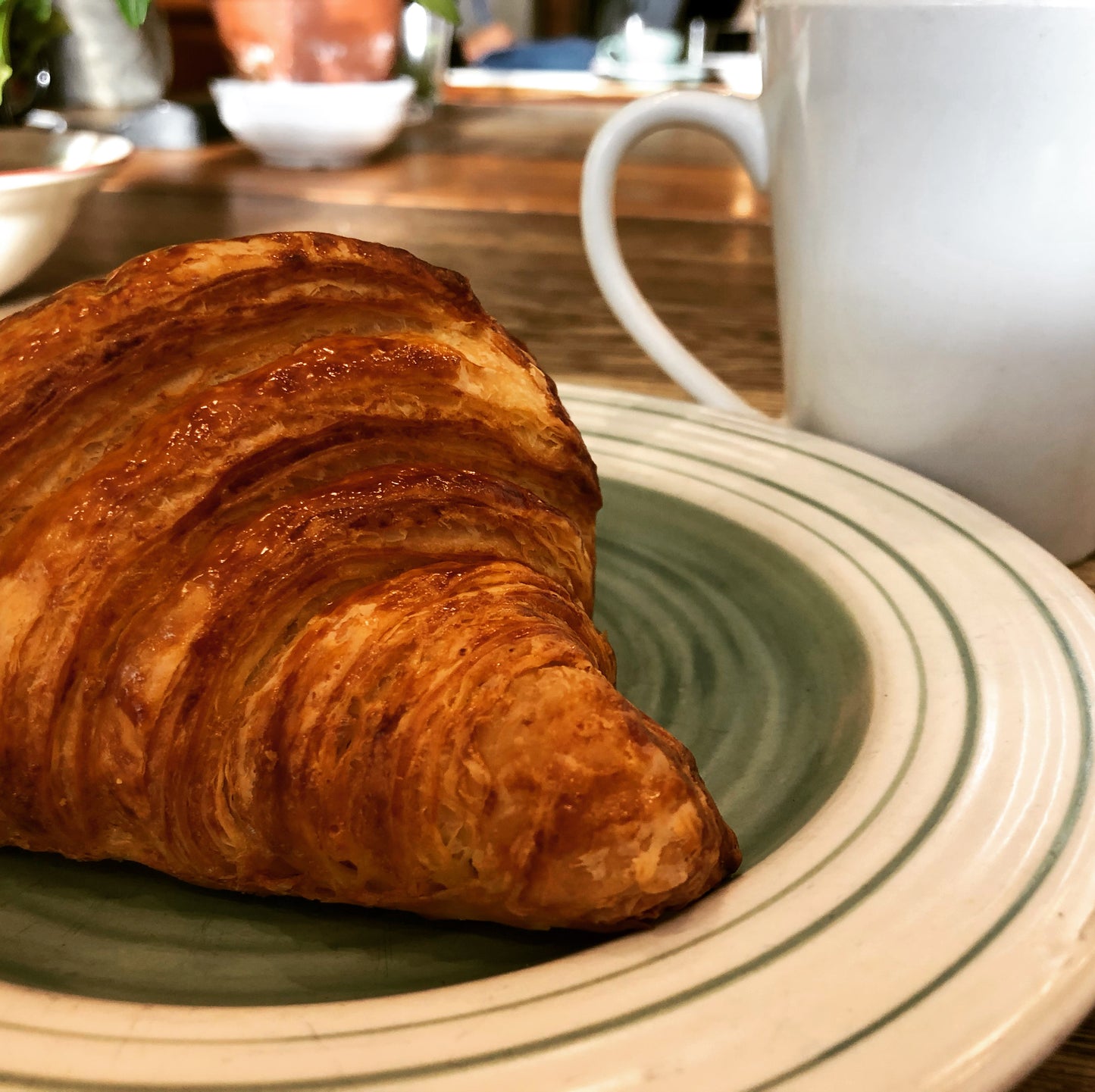Specialty Savoury Croissants